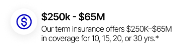 Coverage Range Icon Showing $250K to $65M